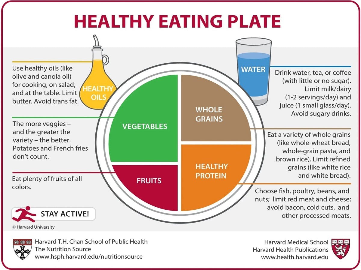 THE ART OF NOURISHMENT: DISCOVER HOW TO CREATE A MASTERPIECE ON YOUR PLATE